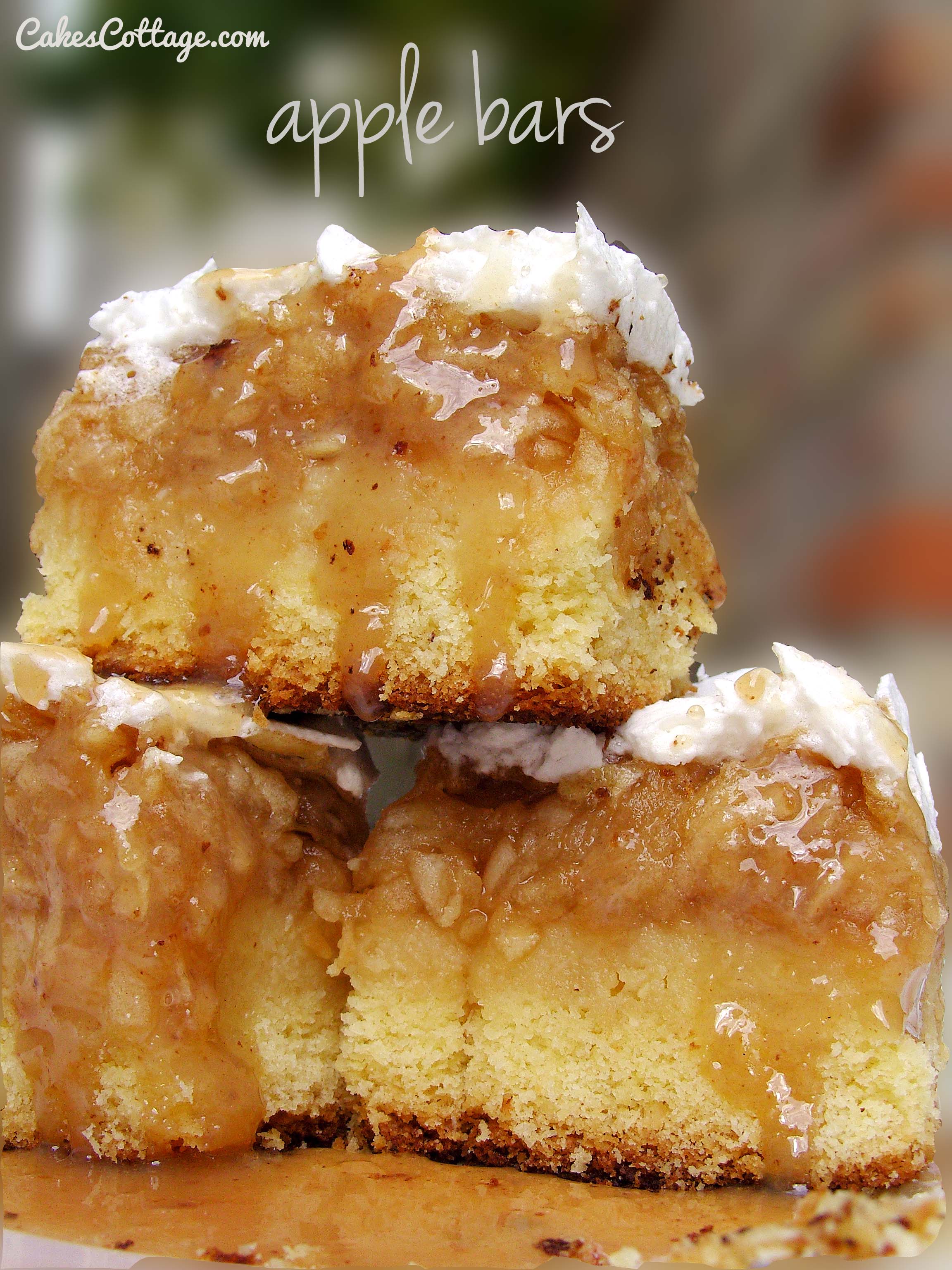 Apple Pie Bars – Baking Is A Science