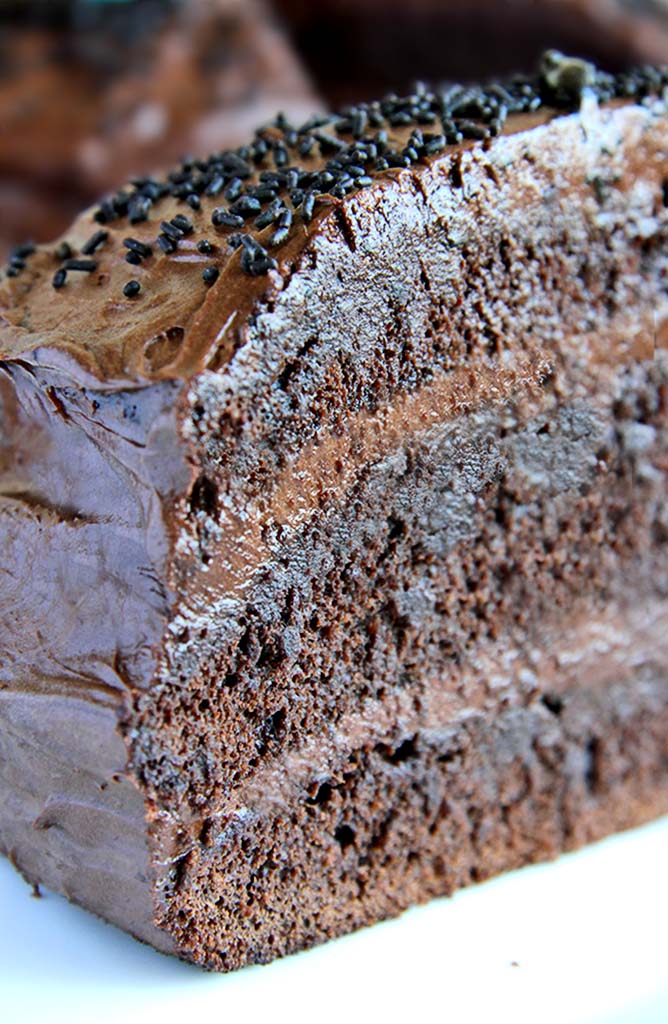 ABSOLUTE BEST Moist Chocolate Cake - Scientifically Sweet