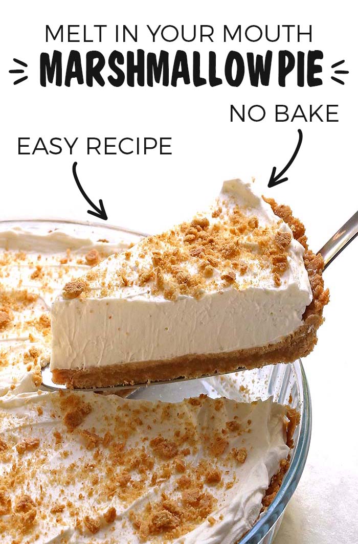 The BEST NO BAKE PIE you will ever have! Light and fluffy texture, very smooth consistency and a melt-in-your-mouth kind of bite.