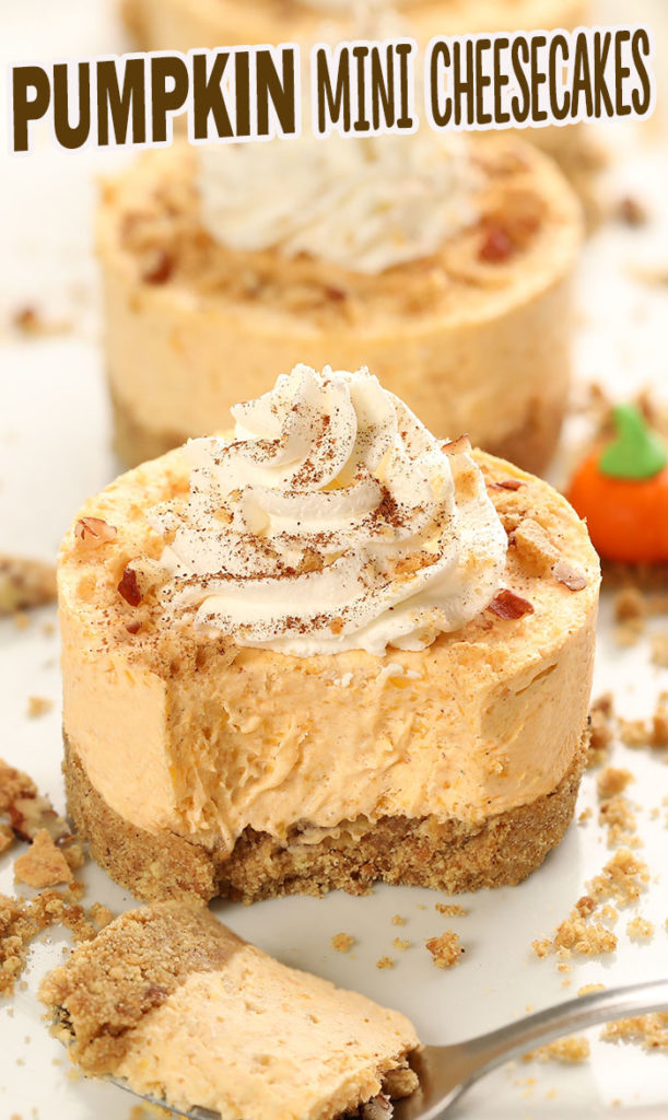 No Bake Pumpkin Mini Cheesecakes - Cakescottage