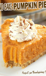 No Bake Pumpkin Pie